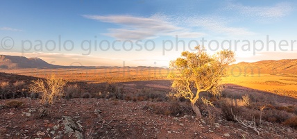 p.giocoso-0419-South Australia Landscapes-Flinders-009