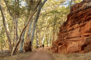 p.giocoso-0419-South Australia Landscapes-Flinders-035