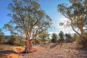 p.giocoso-0419-South Australia Landscapes-Flinders-062