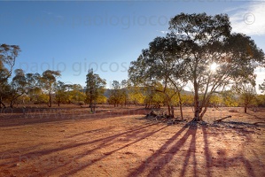 p.giocoso-0419-South Australia Landscapes-Flinders-063