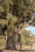 p.giocoso-0419-South Australia Landscapes-Flinders-091