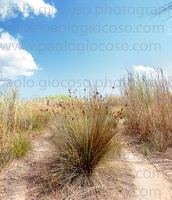 p.giocoso-0119-Wilds Beach West Sicily-022