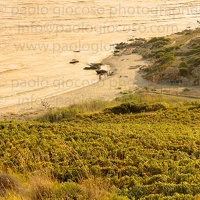 p.giocoso-0119-Wilds Beach West Sicily-049