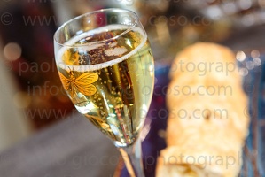 p.giocoso-0619-Troyes Champagne Aube-035