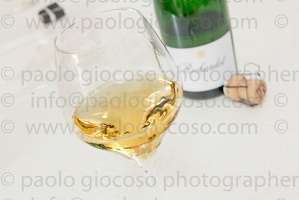 p.giocoso-0619-Troyes Champagne Aube-119