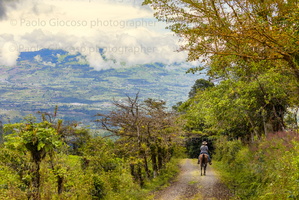 p.giocoso-0223- Costa Rica 023-102